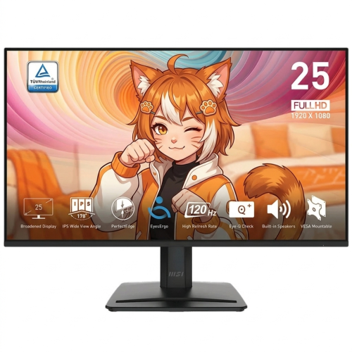 MSI 24.5 MP251L E2 PRO IPS 120Hz Gaming Monitor